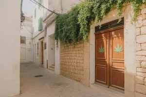 Buy marijuana in Ibiza